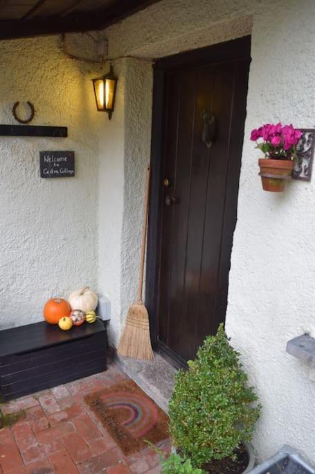 Cedra Cottage - Vintage Country Hideaway Axminster Exterior foto