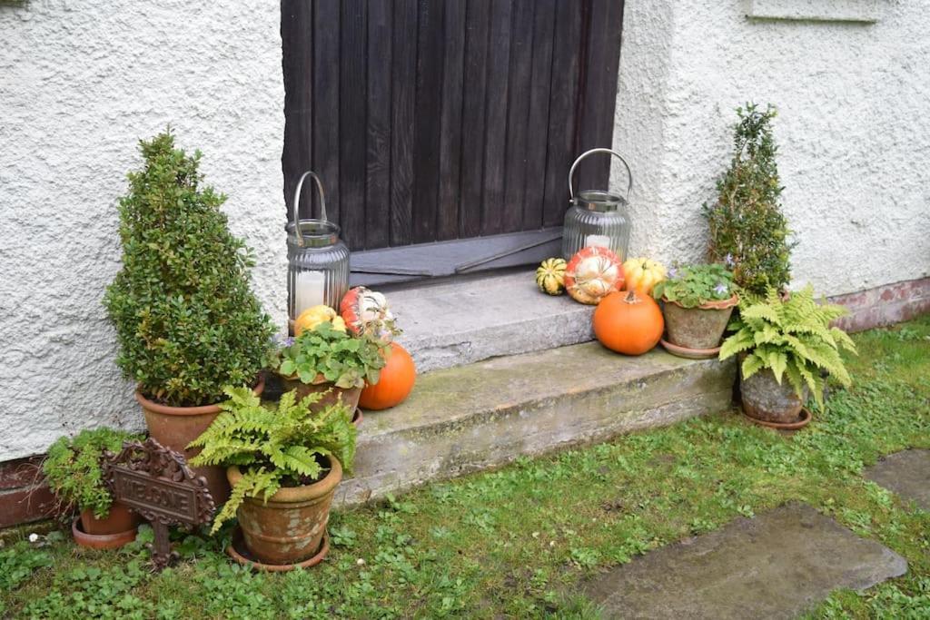 Cedra Cottage - Vintage Country Hideaway Axminster Exterior foto